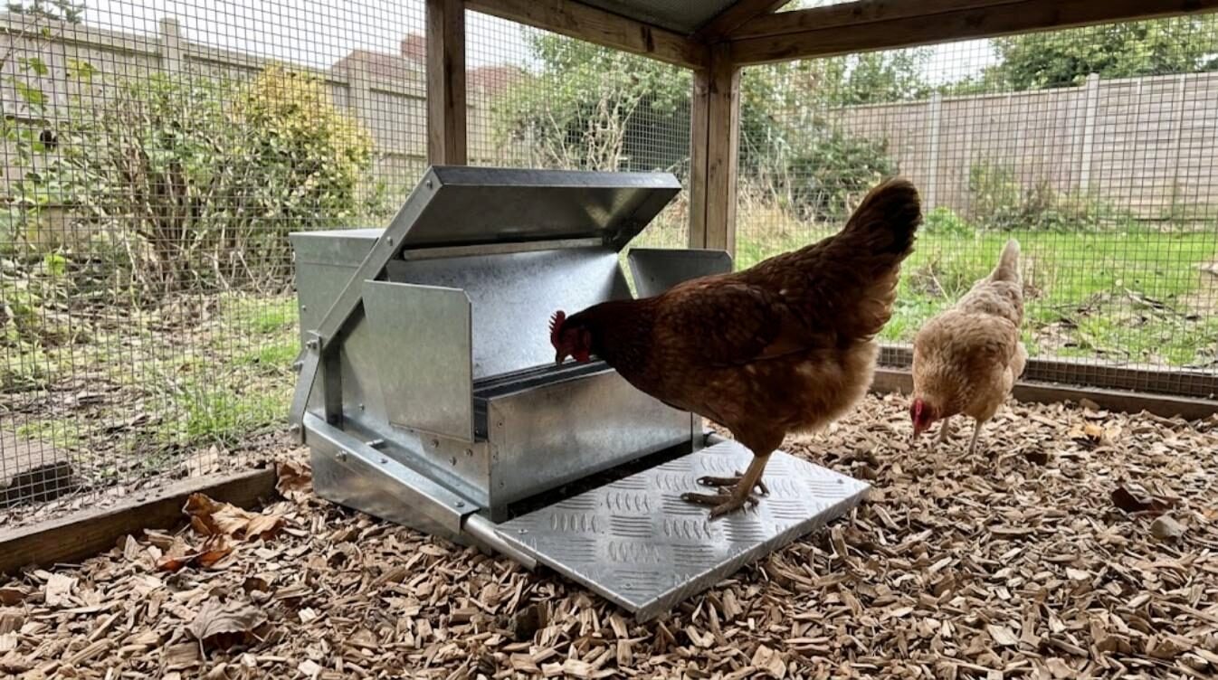 Best Chicken Feeders UK (2026): Rat-Proof and No-Waste Picks
